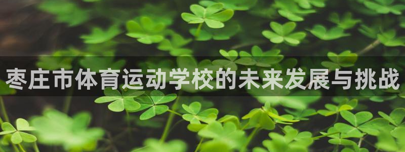 6t体育平台下载