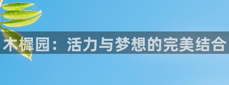 6T体育网