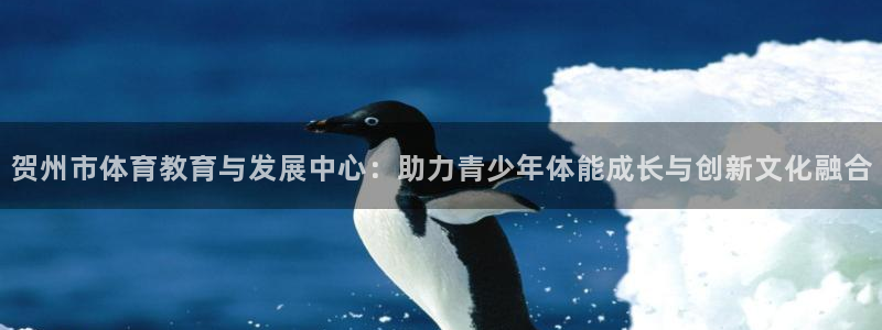 6t体育客户端