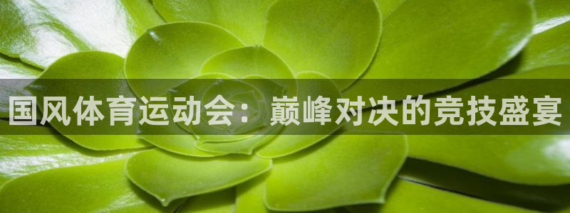 6t体育app：国风体育运动会：巅峰对决的竞技盛宴