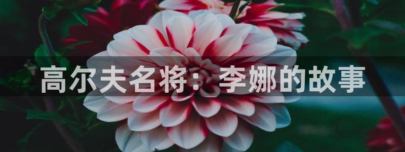 6t体育app