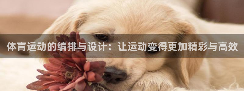 6T体育平台怎么样?