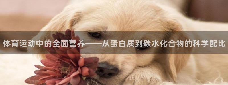 6t体育平台下载