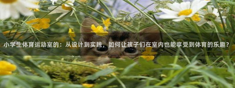 6t体育下载：小学生体育运动室的：从设计到实践，如何让孩子们在室内也能享受到体育的乐趣？